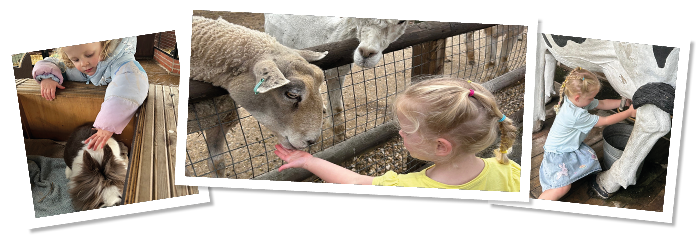 Trilakes / Children's Indoor & Outdoor Play in Berkshire 