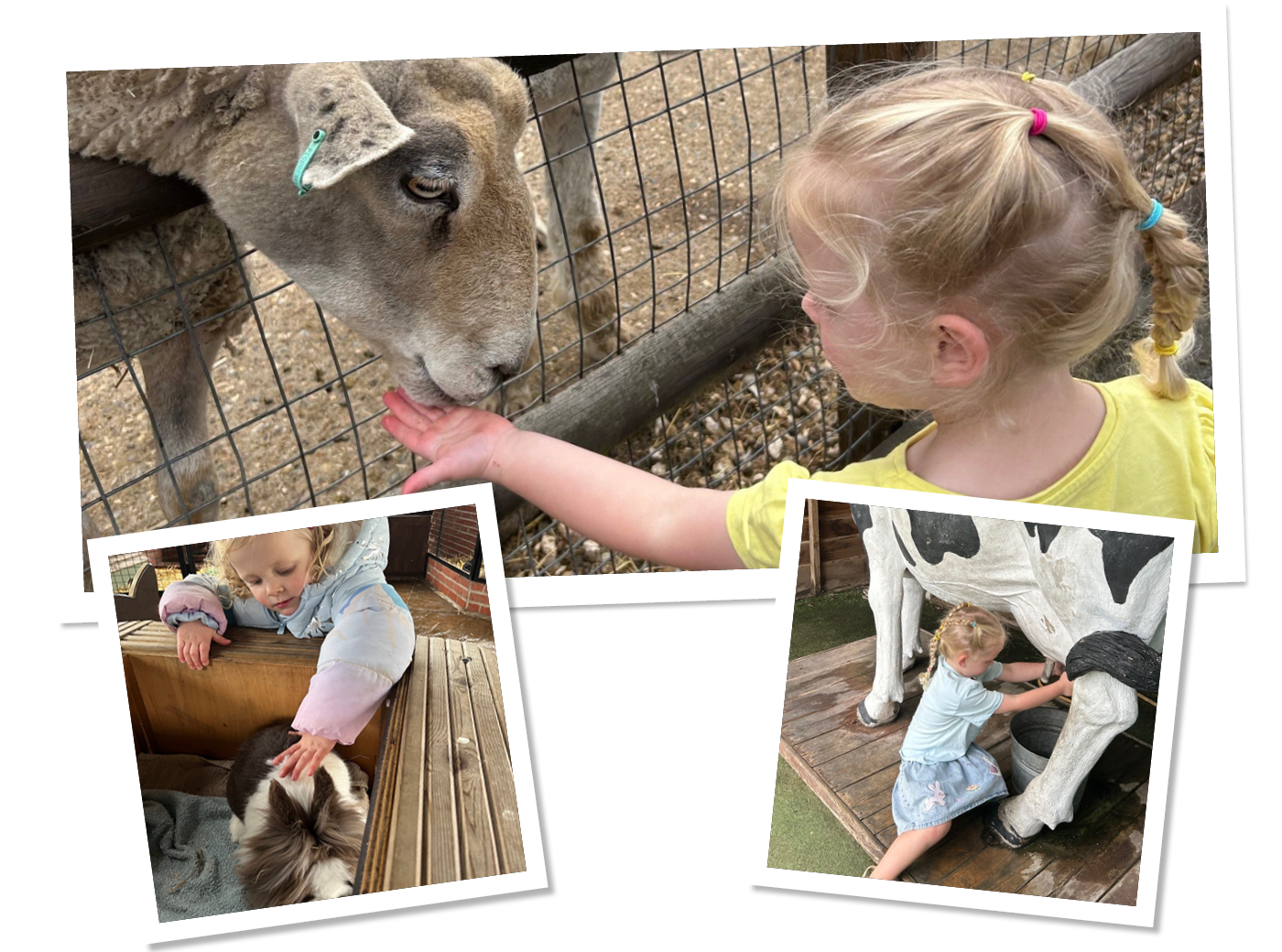 Trilakes / Children's Indoor & Outdoor Play in Berkshire 